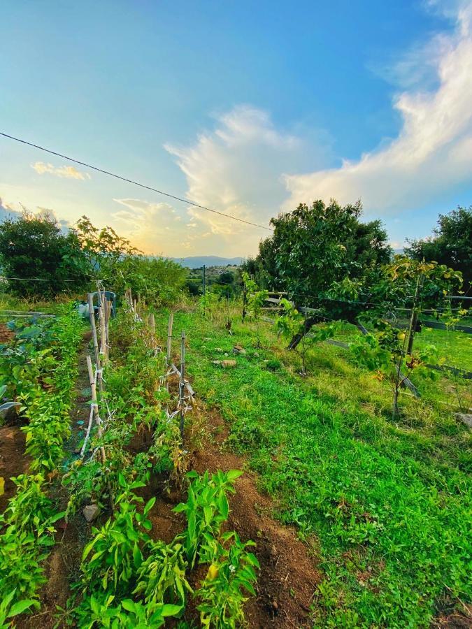 Locanda Tipica Sa Corte Oliena Bagian luar foto