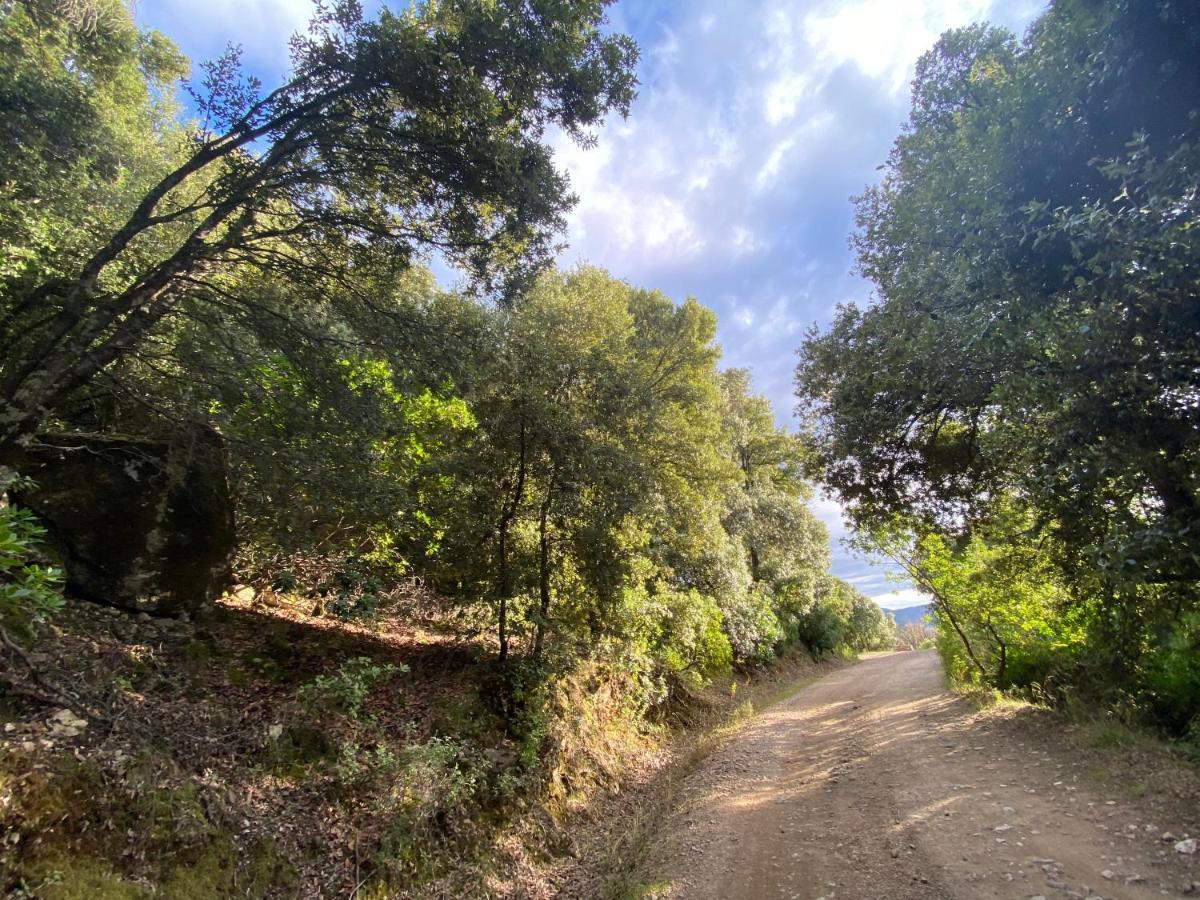 Locanda Tipica Sa Corte Oliena Bagian luar foto